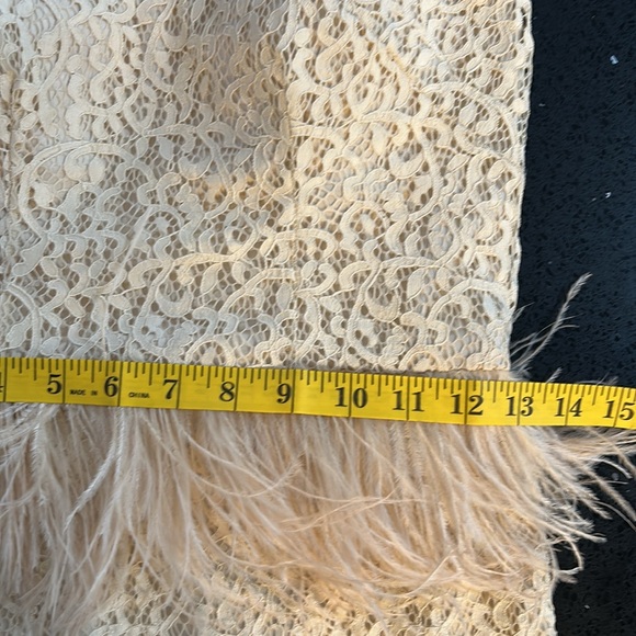 Feather and Lace Dress - Picture 12 of 14